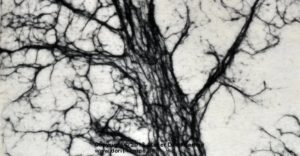 Der Baum (Ausschnitt) - The tree (detail)