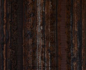 Baumhaut (Ausschnitt) - The skin of the tree (detail)