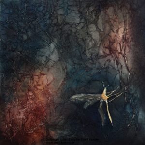 Kleines Insekt - Small insect