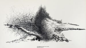 Geteilte Landschaft - Divided Landscape