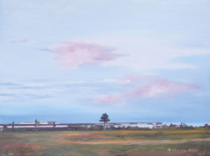 Wolkenfelder 1
