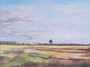 Wolkenfelder 3