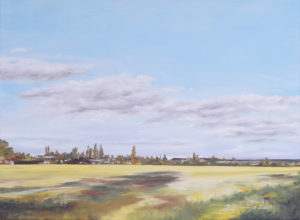 Wolkenfelder 4